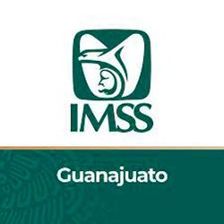 Programa De Becas IMSS Guanajuato